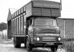 Albion Chieftain CH3 Cattle Lorry 1958 года